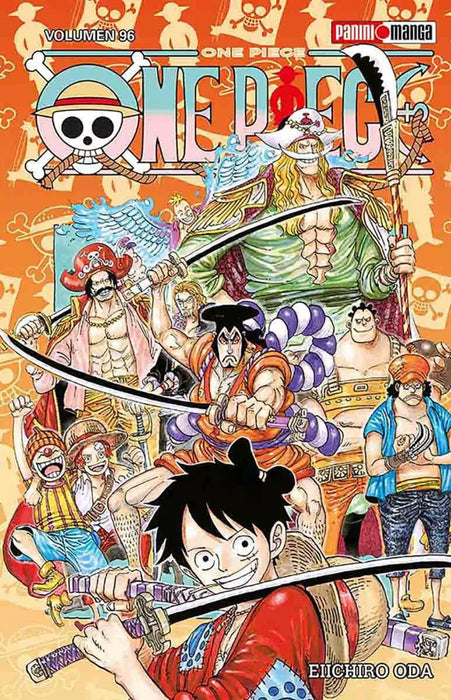 One piece 96