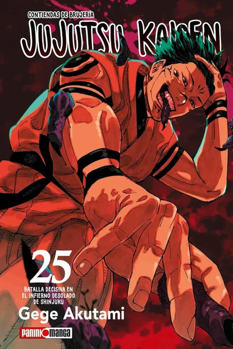 Jujutsu Kaisen 25