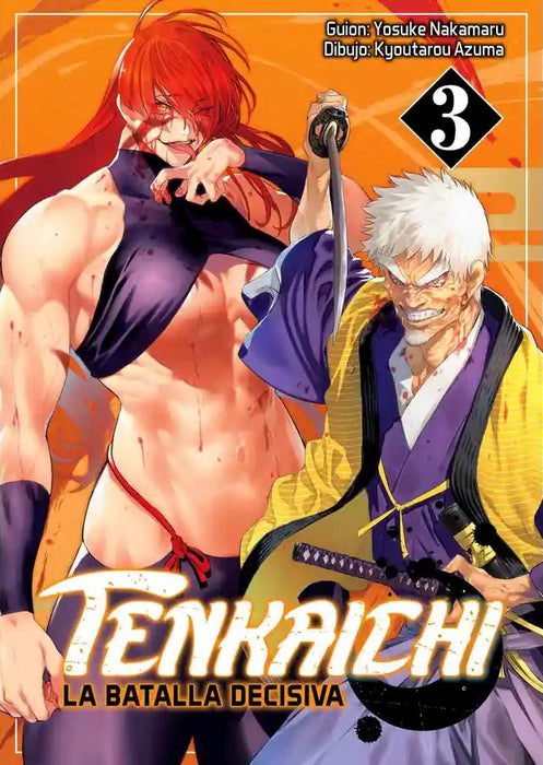 Tenkaichi 03