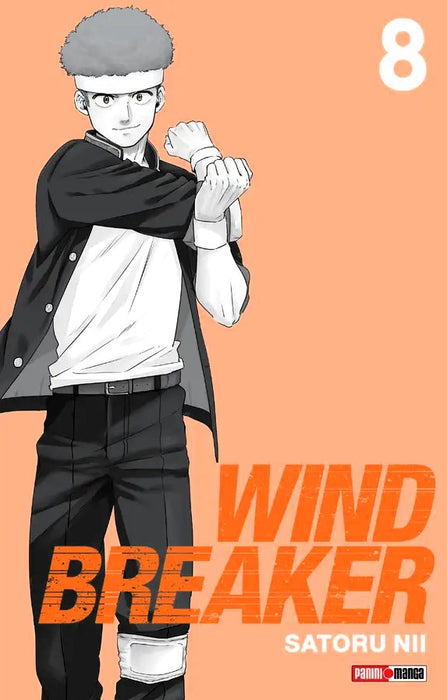 Wind Breaker 08