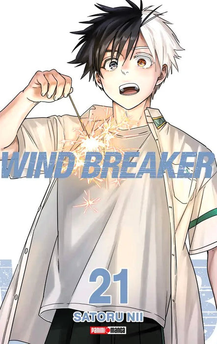 Wind Breaker 21