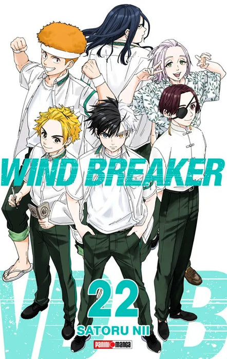 Wind Breaker 22