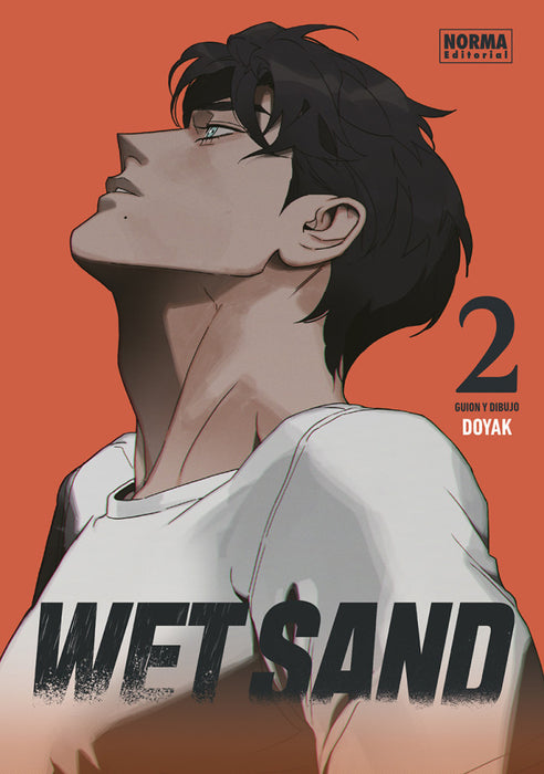 Wet Sand 2