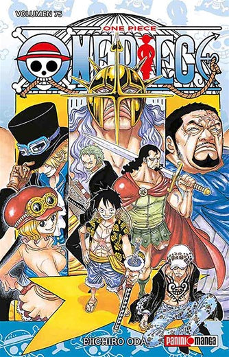 One piece 75