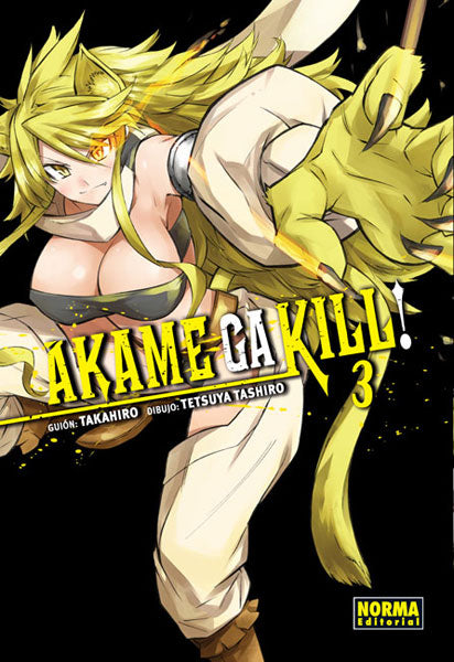 Akame Ga Kill 3