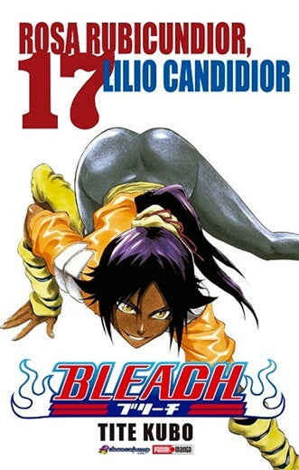 Bleach 17