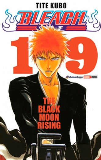 Bleach 19