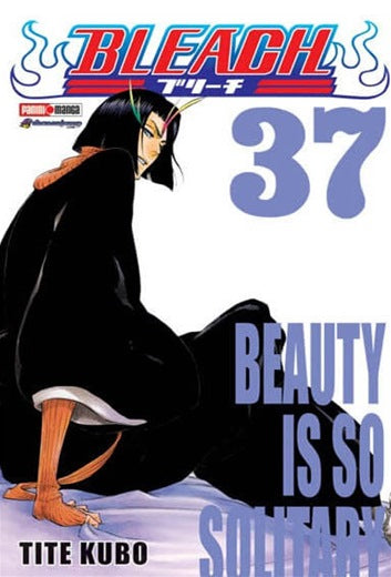 Bleach 37