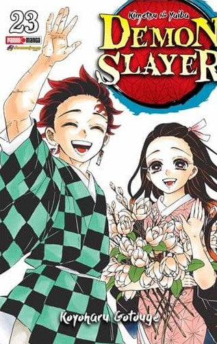 Demon Slayer 23