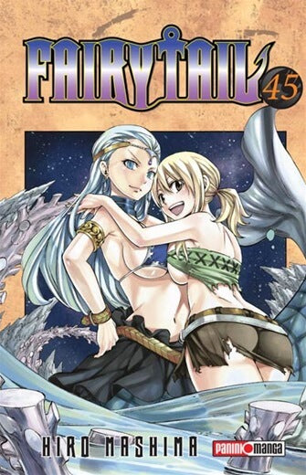 Fairy Tail 45