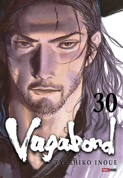 Vagabond 30