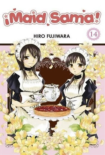 Maid Sama 14