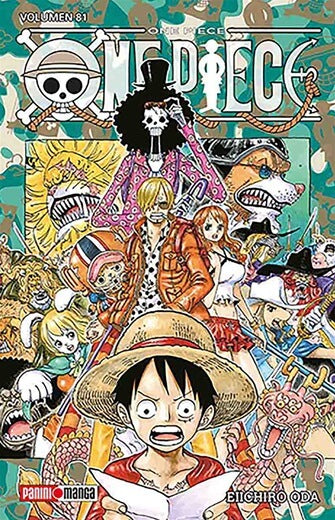One piece 81