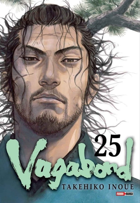 Vagabond 25