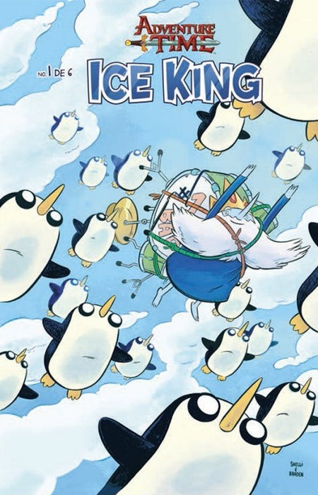 Adventure Time: Ice King 1