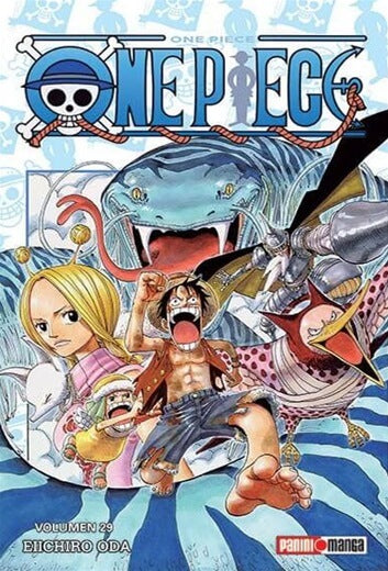 One piece 29