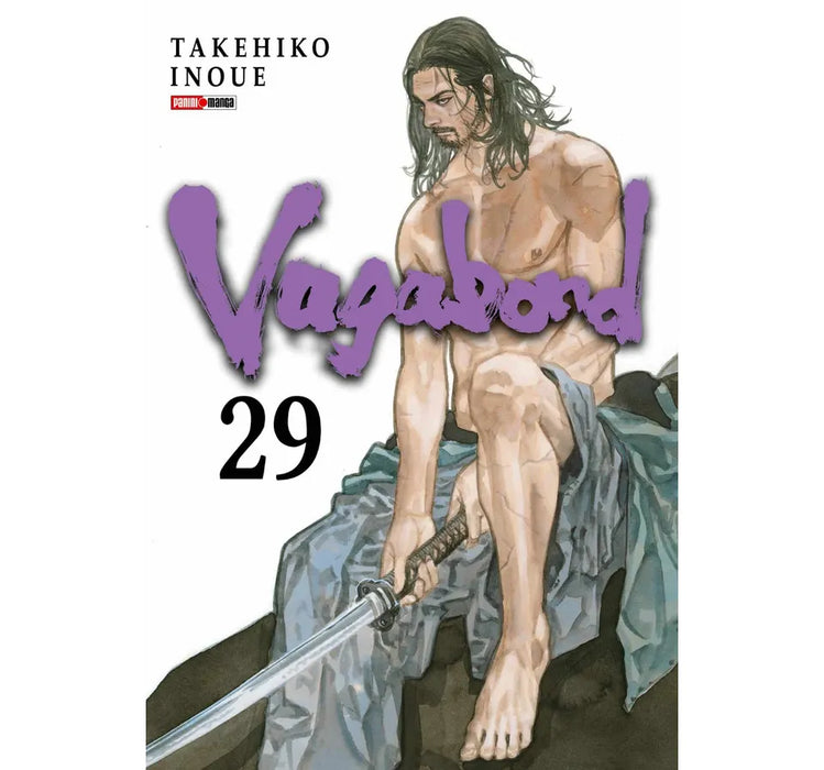 Vagabond 29
